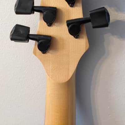 Ibanez GWB1 image 11