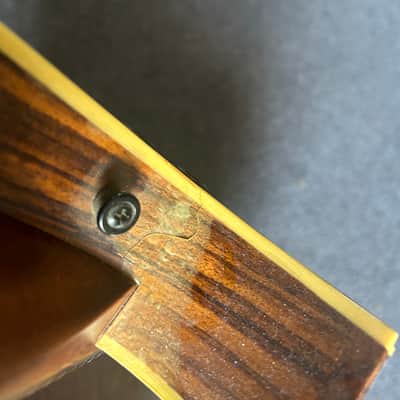 Tacoma M2 Mandolin with hard case - made in the USA image 9