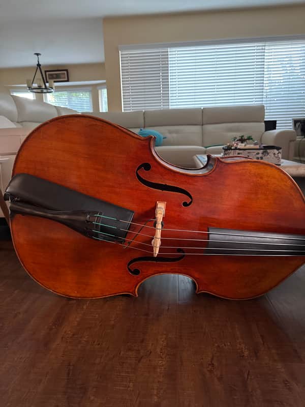 Upright Bass 2012 image 1
