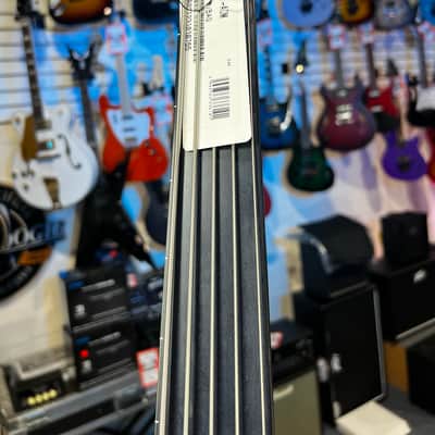 Ibanez Standard EHB1005F Fretless 5-string Bass Guitar - Arctic Ocean Matte 765 GET PLEK'D image 3