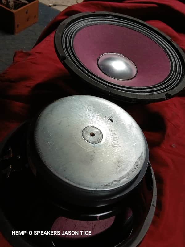 HARTKE 10" SPEAKERS HEMPOPOTAMUS HYBRIDS G5 CONES 2 AVAILABLE TONALITY SAVAGES image 1