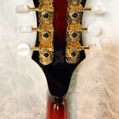 Washburn M3SWE Americana Series F-Style Mandolin with Electronics. Trans Wine Red M3SWETWRK image 8