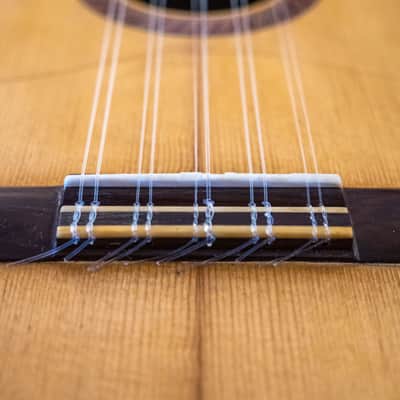 Ronroco by Luthier Arnold Hennig very playable, case, strap, 6 sets of strings. 2019 Walnut image 3