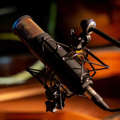 Antelope Audio Edge Duo Double Membrane Condenser Modeling XLR Microphone image 3