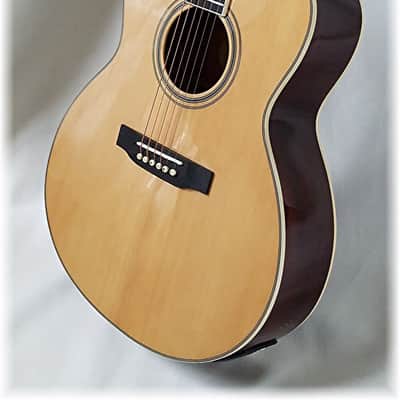 Dillion DF-900 ES Folk Size Acoustic Guitar Natural w/Case image 2