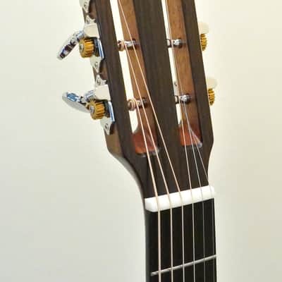 Alvarez Artist Series AP66 Shadowburst Parlor Size Acoustic Guitar image 8