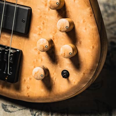 MTD 535-24 US Custom 30th Anniversary-Birdseye Maple 10 Top (Black Limba Body) w/Birdseye Maple Fingerboard image 3