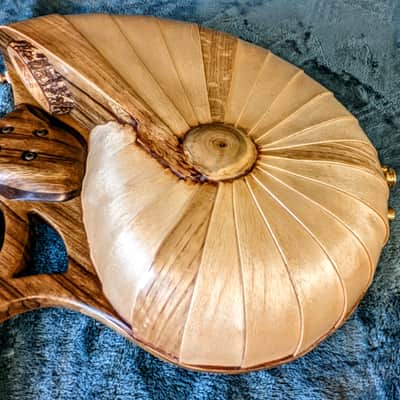 Raysrootworks 10 string shell back tenor ukulele. image 11