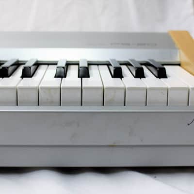 Casio PS-20 Weighted Action Digital Piano | Reverb