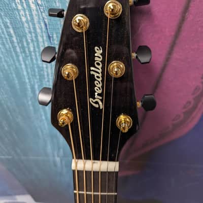 Breedlove Performer pro concert CE tobacco burst 2025 image 3