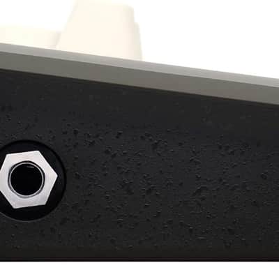 L.R. Baggs Voiceprint DI Acoustic Guitar Impulse Response Effects Pedal image 7