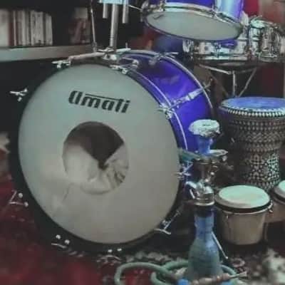 Amati Kraslice RARE 22" Front Bass drum head with logo 70s-80s  - Vintage white image 6