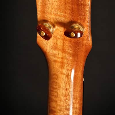 Rebel Double Creme Tenor Gloss 2025 - Natural image 8