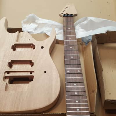 Guitar Build Kit Ibanez style 7 string with Floyd Rose Trem image 1