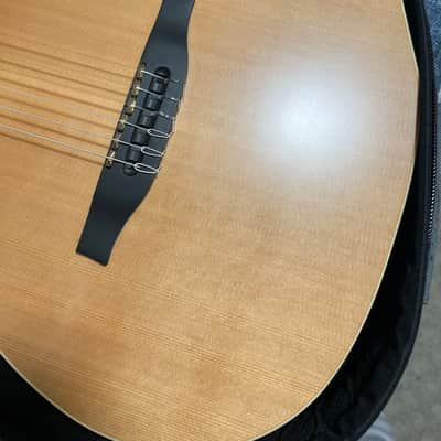 Godin ACS-SA Nylon 2020’s - Natural. With Roland GR-20 Synthesizer. image 6