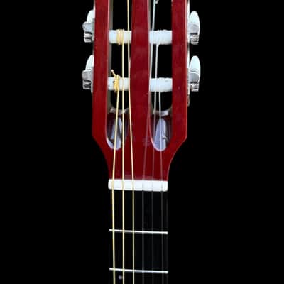 Godin Godin ACS-SA Slim Nylon image 7