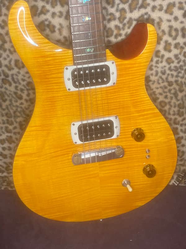PRS SE Paul's Guitar image 1