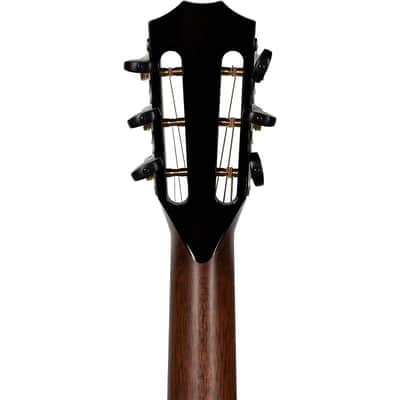 Taylor PS12ce 12-Fret 2024 image 11