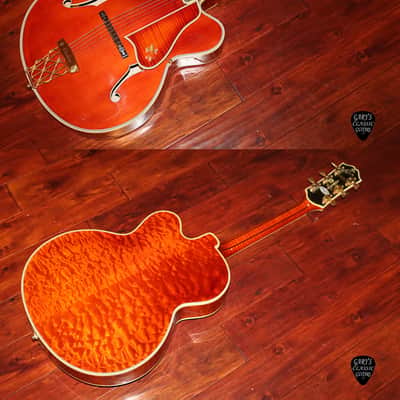 1981 Gibson Citation Vanderbilt Rose finish image 2