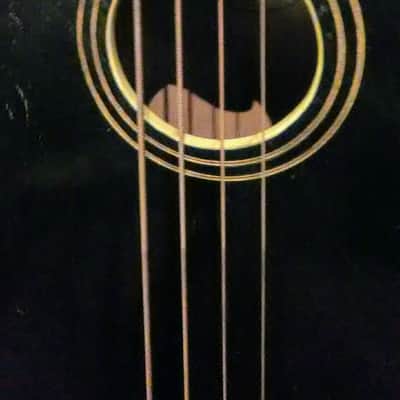 Gibson "Style-J" Mando-bass  1919. With Original Canvas Bag and "Orientation" Pegs! image 5