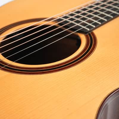 PRS Private Stock Tonare Grand 25th Ann The Tree 2014 image 12