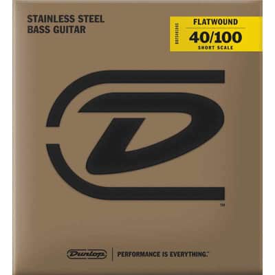 Dunlop DBFS40100S Filets plats short scale 40-100 image 1