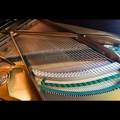 Premium Bechstein A180 Grand Piano image 8