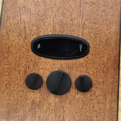 Fender Redondo Special Mahogany image 17