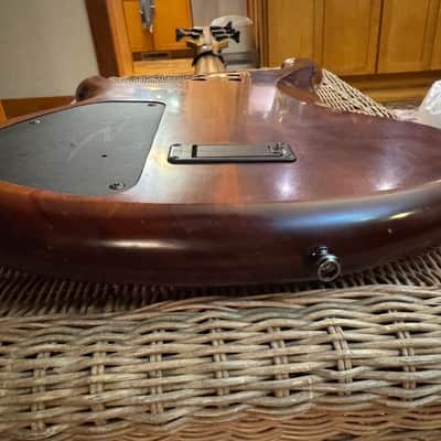 Ristola Instruments 5 String Fretless Bass - RARE image 5