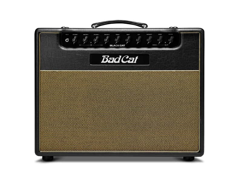 Bad Cat Amplifiers Black Cat 1x12 Combo 20W 2 Channel Amp Direct Ship image 1