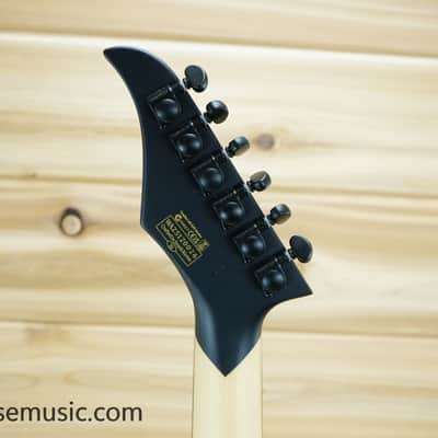 Wylde Audio Blood Eagle - Mahogany Blackout image 11