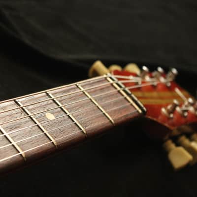 Vintage Hofner Colorama 443 / 1959 - all original! image 8