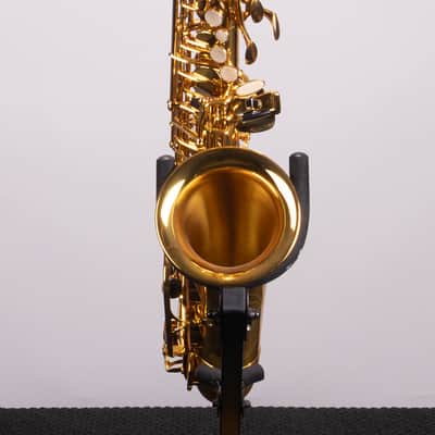 Victory Musical Instruments Triumph Series Student Eb Alto Saxophone - Gold Lacquer With Case and Mouthpiece image 2