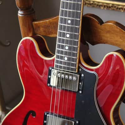 FGN 335 Cherry, MSA-HP/CH HARDCASE, 3, 03 KG image 6