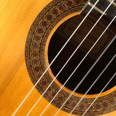 1966 Arcangel Fernandez "Marcelo Barbero - Hijo" Classical Guitar image 11