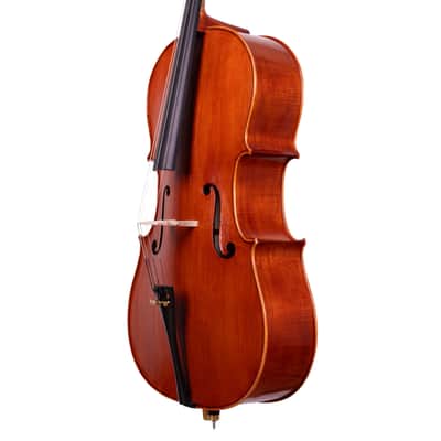 Goffriller Cello 4/4 from One Piece Back - Hand-Made in Romania 2025 #99 image 8