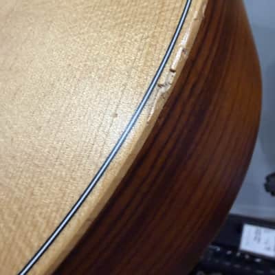 Taylor GS Mini-e Spruce 2022 - Natural image 10