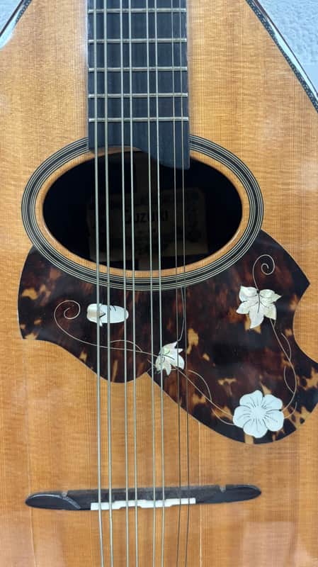 Suzuki MC-836 late 20th Century Mandocello | Reverb Belgium