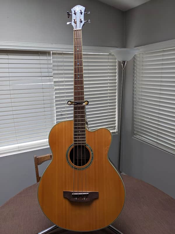 Michael Kelly Acoustic/Electric Bass Guitar image 1