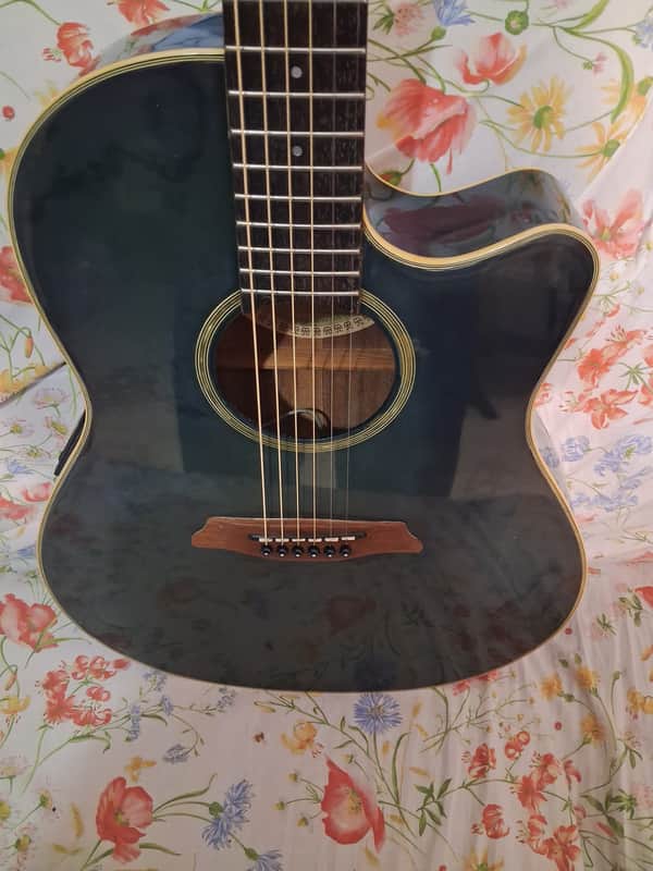 Made in Japan Law-suit Era 80's REFURBISHED Acoustic Aria acoustic Elecord FEA 10Z image 1