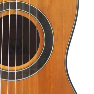 Peter Harlan 8-string ~1950 - extremly special and nice sounding guitar handmade in Germany image 3