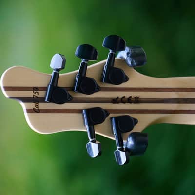 Mayones Cali 5 - Wenge image 6