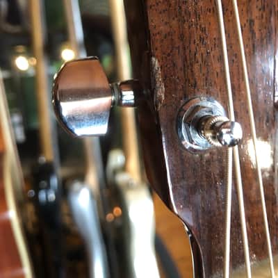 Larrivee Ls-19 Gloss image 8