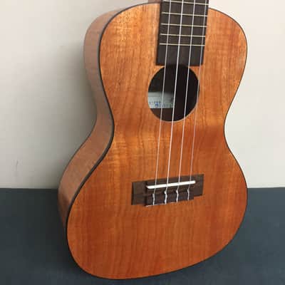 Kala KA-CEM Exotic Mahogany Series Concert Ukulele 2010s - Satin Natural image 4
