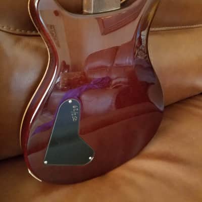 PRS McCarty 10 top birds Solid Brazilian Rosewood Neck Paul Reed Smith 1999 image 10
