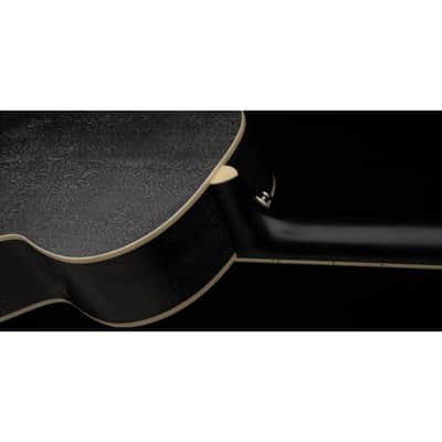 PRS SE P20E Dog Hair - Acoustic Guitar image 6