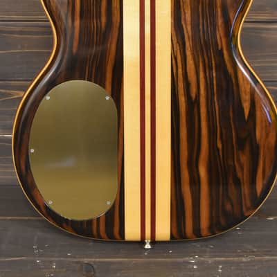 Alembic Stanley Clarke Signature Deluxe short scale 4 string Bass Macassar Ebony - VIDEO DEMO image 6