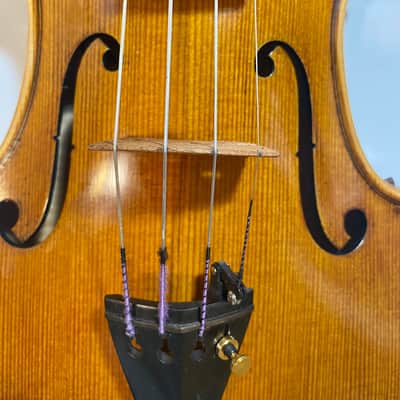 Fine Italian labeled violin Enzo Barbieri image 3