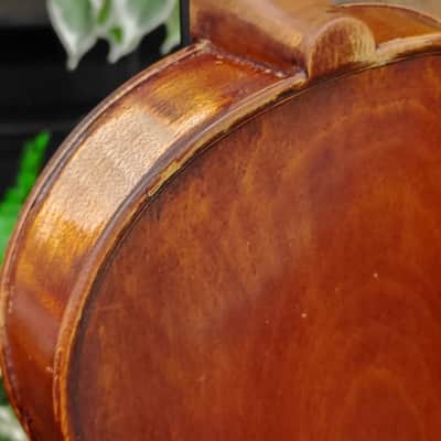 A.S. Hill (Seattle) Violin No. 82 — 1924 — Amber-Red — with German Workshop Bow & Case image 16