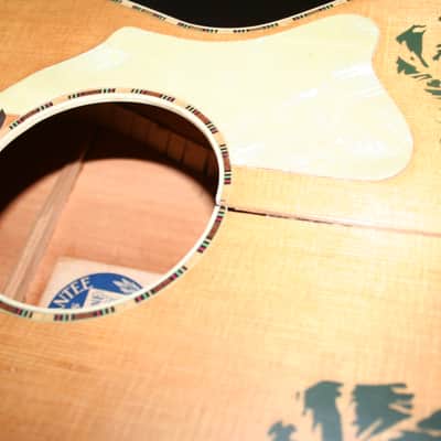 Supertone Parlor Acoustic 1930's Decalcomania w/Case image 12